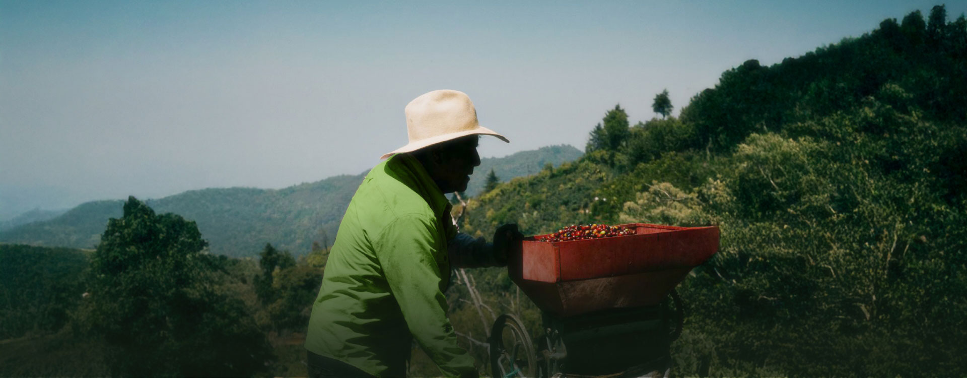Our mission : give coffee its soul back