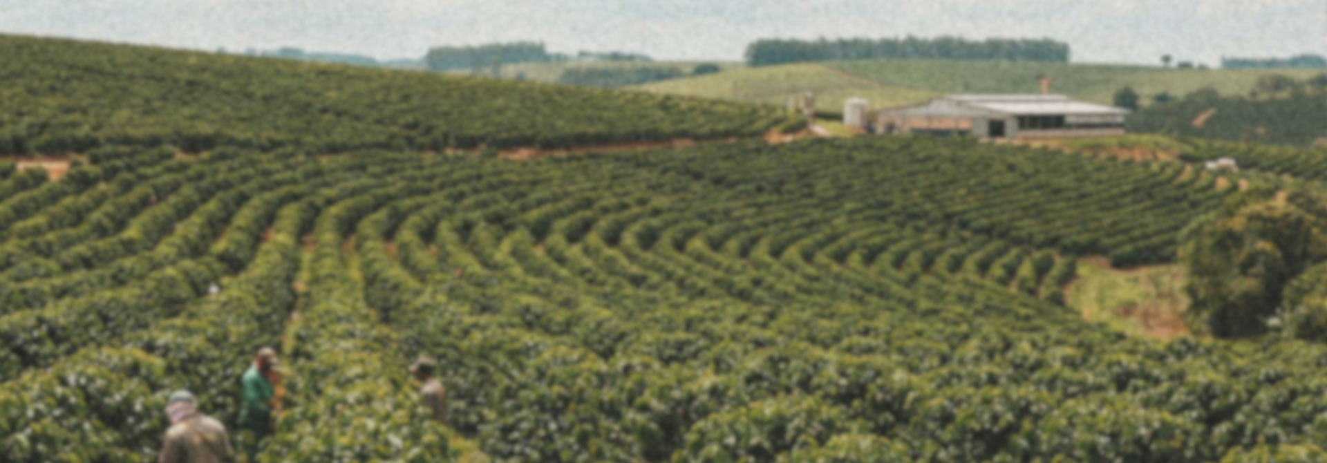 We want to create a world where coffee is fresh,...