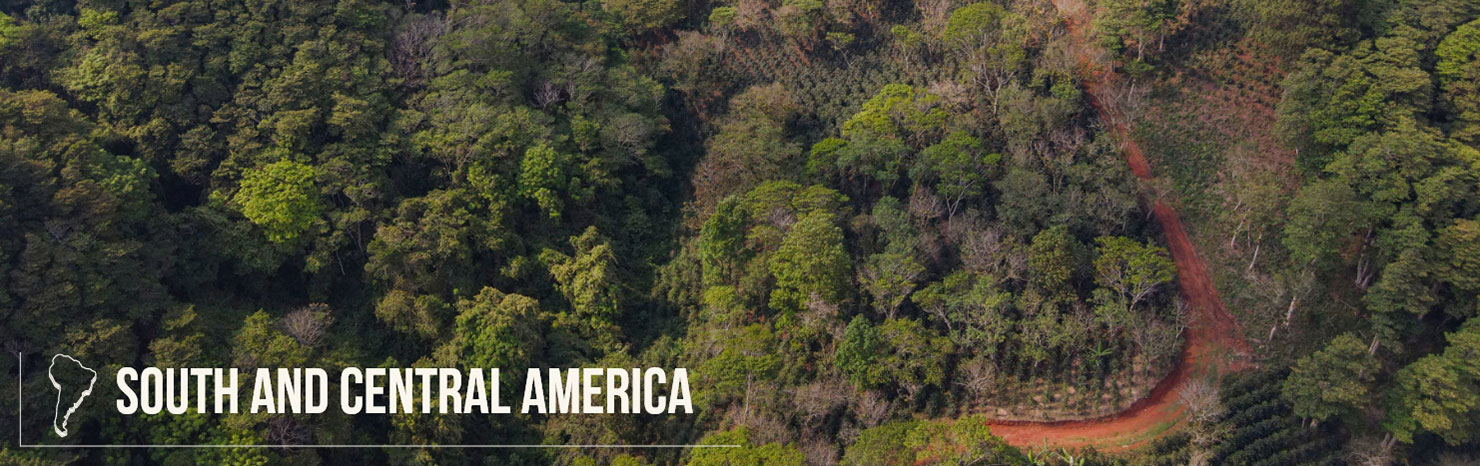 South and Central America